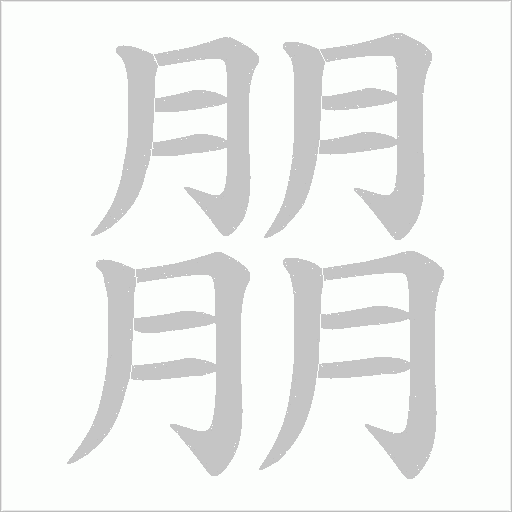 朤字动态笔顺演示