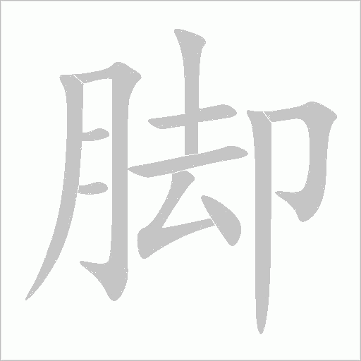 脚字动态笔顺演示