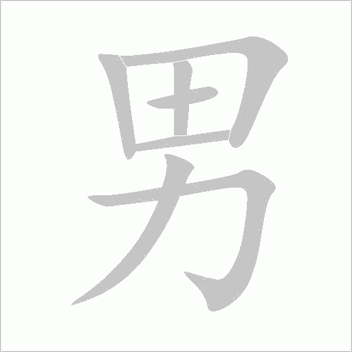 男字动态笔顺演示
