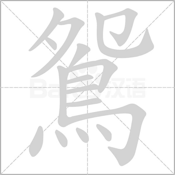 鴛字动态笔顺演示