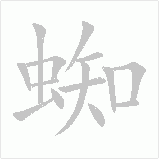 蜘字动态笔顺演示