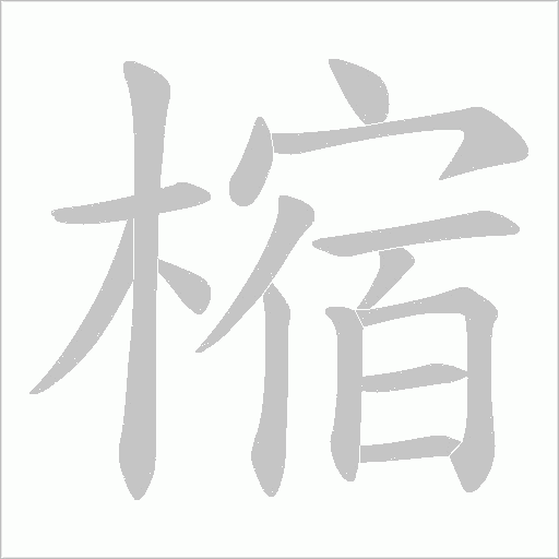 樎字动态笔顺演示