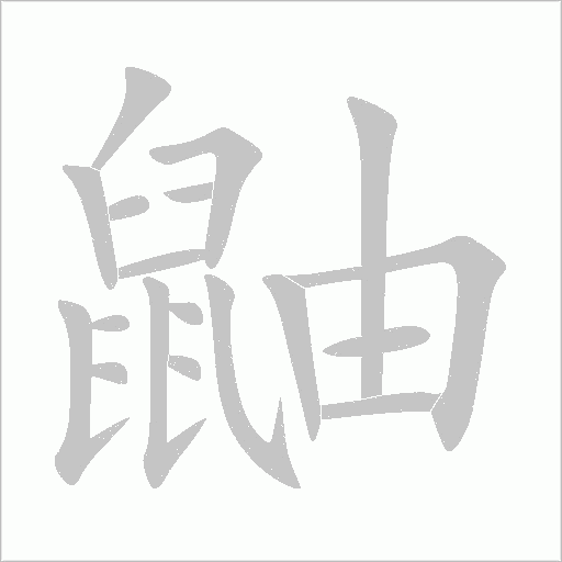 鼬字动态笔顺演示