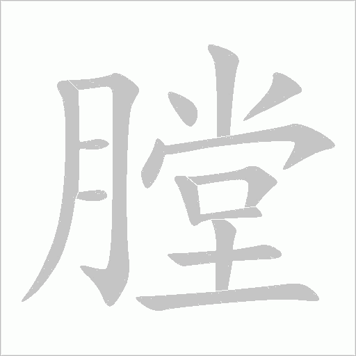 膛字动态笔顺演示