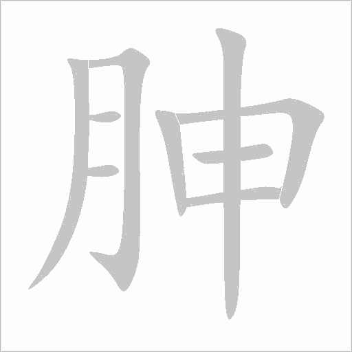 胂字动态笔顺演示
