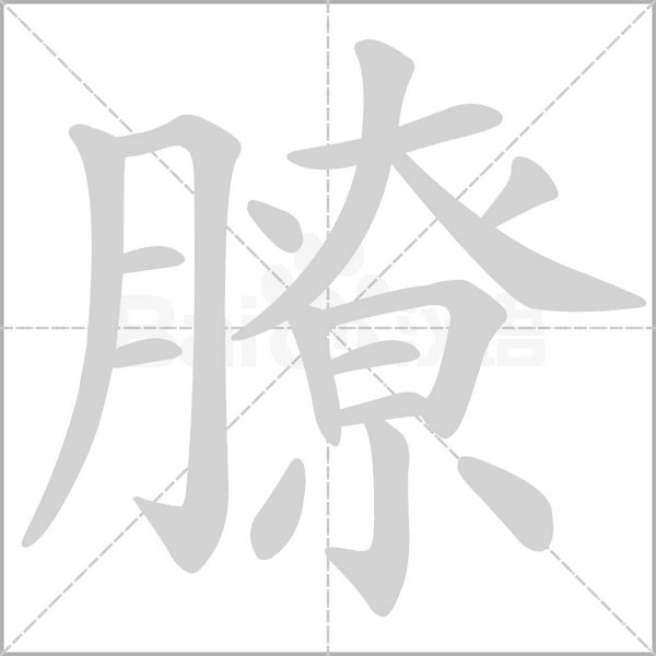 膫字动态笔顺演示