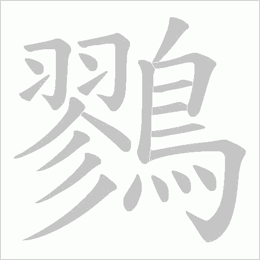 鷚字动态笔顺演示