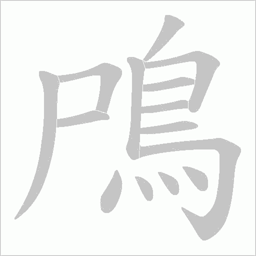 鳲字动态笔顺演示