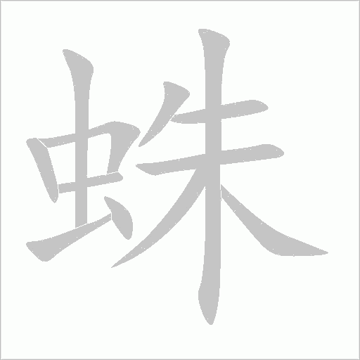 蛛字动态笔顺演示