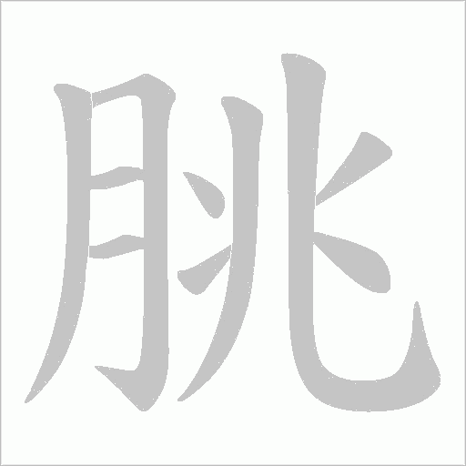 朓字动态笔顺演示