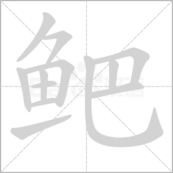 鲃字动态笔顺演示