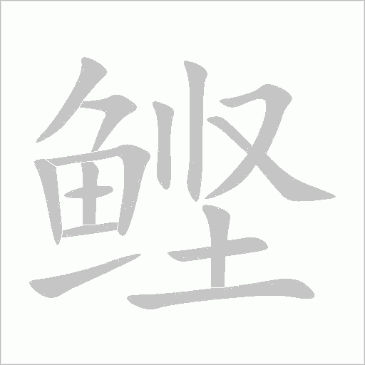 鲣字动态笔顺演示