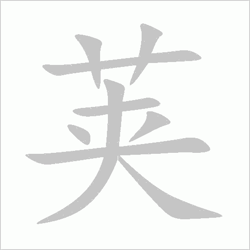 荚字动态笔顺演示