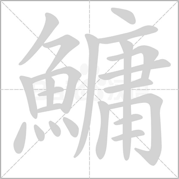 鱅字动态笔顺演示