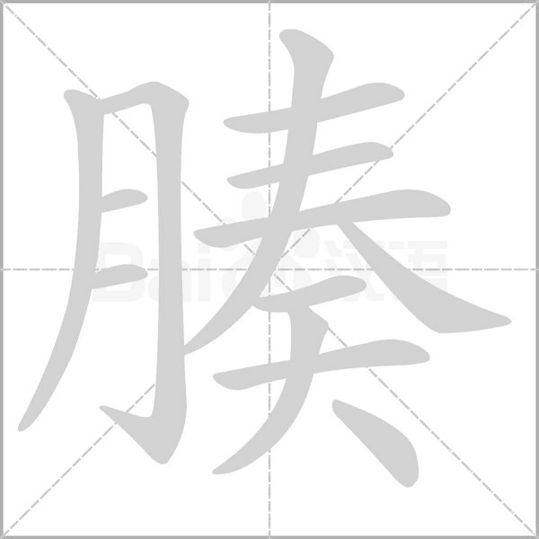 腠字动态笔顺演示