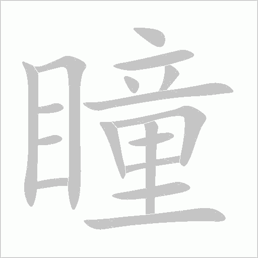 瞳字动态笔顺演示