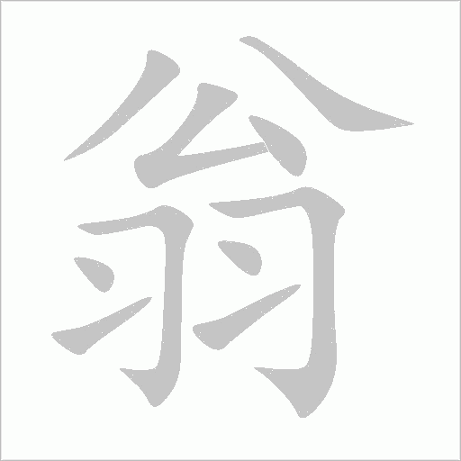 翁字动态笔顺演示