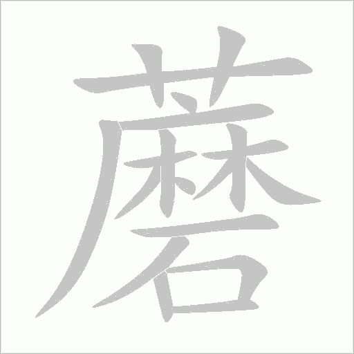 蘑字动态笔顺演示