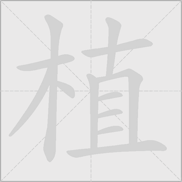植字动态笔顺演示