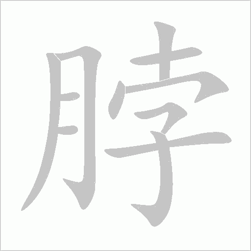 脖字动态笔顺演示