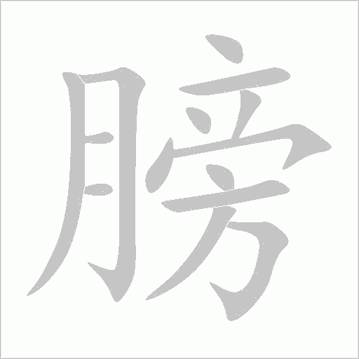 膀字动态笔顺演示