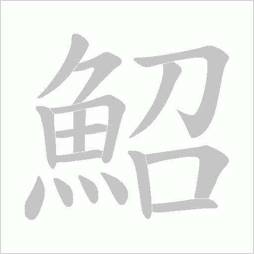 鮉字动态笔顺演示