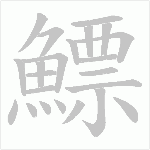 鰾字动态笔顺演示