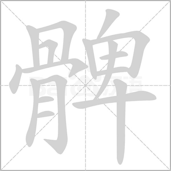 髀字动态笔顺演示