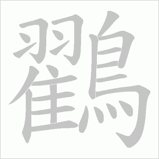 鸐字动态笔顺演示