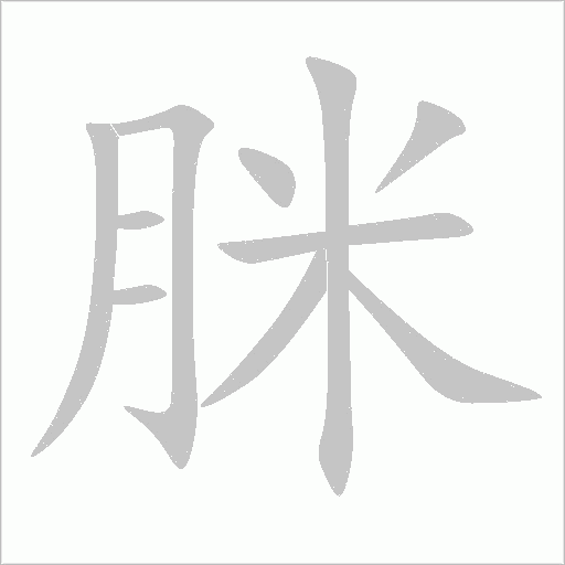脒字动态笔顺演示