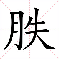 胅字字形图片