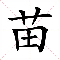 苗字字形图片