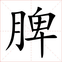 脾字字形图片