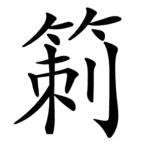 箣字字形图片