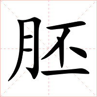胚字字形图片