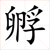 孵字字形图片