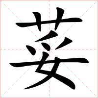荽字字形图片