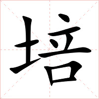 培字字形图片