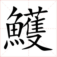 鱯字字形图片