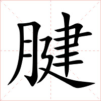 腱字字形图片