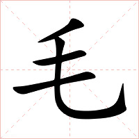毛字字形图片