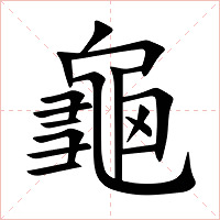 龜字字形图片
