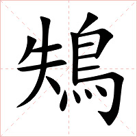 鴩字字形图片