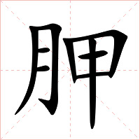 胛字字形图片