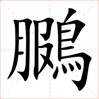 鵩字字形图片