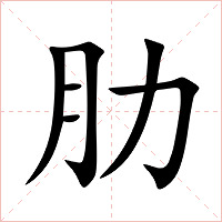 肋字字形图片