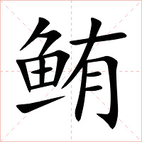 鲔字字形图片