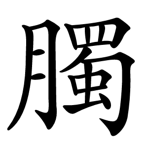 臅字字形图片