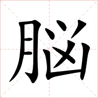 脳字字形图片