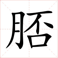 脴字字形图片